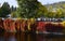 Ivy on the waterfront river by the Vltava and Slavonic island in Prague