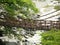 Iya vine bridge or Iya Kazura bridge. A suspension bridge made of the plant called Shirakuchikazura.