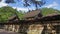 Izumo taisha main shrine