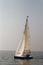 J24 Sailboat, Mumbai