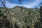 Jabal Moussa reserve in Lebanon