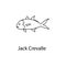 jack crevalle icon. Element of marine life for mobile concept and web apps. Thin line jack crevalle icon can be used for web and m