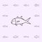 jack crevalle icon. Fish icons universal set for web and mobile