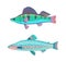 Jack Dempsey Marine Fish Set Vector Illustration