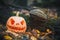 Jack O Lantern, with an evil face. spooky pumpkin for halloween on dry fallen autumn leaves in forest. Mysterious misty