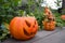 Jack-o`-lantern or Halloween pumpkin .One of the symbols of Halloween