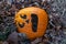 Jack-O-Lantern laying on a bed of leaves