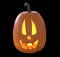 Jack O` Lantern Pumpkin isolated on black background 3D illustration