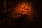 Jack O Lantern pumpkin on wood cross over dead tree, moon and cl
