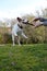 JACK RUSSELL DOG JUMPING TO CATCH A STICK ON PARK