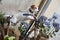 JACK RUSSELL DOG RIDING A VINTAGE BICYCLE WITH VIOLET FLORAL D