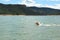 JACK RUSSELL DOG SWIMMING IN A LAKE OR BEACH. MOUNTAIN LANSCAPE