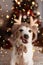 JACK RUSSELL DOG UNDER CHRISTMAS TREE LIGHTS CELEBRATING HOLIDAYS AND MAKING A FUNNY FACE, LINKING TONGUE OUT,  WEARING A REINDEER