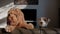 A Jack Russell and Goldendoodle dogs look on camera at home in the sunlight. Closeup view footage