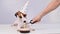 Jack Russell Terrier in a birthday hat on a white background. A woman lights a candle on the dog's first birthday cake