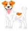 Jack russell terrier cartoon