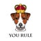 Jack Russell Terrier in the crown dog vector illustration