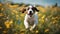 jack russell terrier A joyful puppy dog sprinting through a meadow of wildflowers, with colorful butterflies