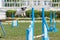 Jack russell terrier jumping out from seesaw