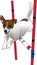 Jack russell terrier jumping over the obstacle