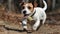 A Jack Russell terrier playing with a ball created with Generative AI