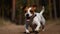 A Jack Russell terrier playing with a tennis ball created with Generative AI