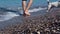 Jack Russell terrier plays with his master on the seashore. Jack Russell terrier runs after his master along a pebble