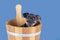 Jack Russell Terrier puppy, 2 months old. Dog sits in a wooden sauna bucket, blue background. Selective focus