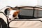 a jack russell terrier puppy. cute and playful pets. folding enclosure for dogs.