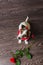 Jack Russell Terrier with red rose.