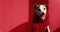 Jack Russell Terrier in red scarf breathes on red background