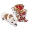 Jack Russell Terrier beside shopping card xmas