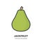 Jackfruit icon, filled outline style vector