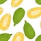 Jackfruit seamless pattern. Ripe tropical fruits whole and halves on  white background.
