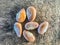 Jackfruit Seeds on wood background