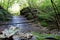 Jackson Falls Off Natchez Trace Parkway