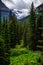 Jackson Glacier Overlook on the Going-to-the-Sun Road in Glacier National Park