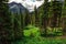 Jackson Glacier Overlook on the Going-to-the-Sun Road in Glacier National Park