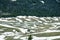 The Jackson Hole snow fields in the Grand Teton Mountain Range