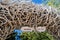 Jackson hole, Wyoming, USA, May 29, 2021: Elk Antler Arches at the entrance to Jackson Town Square