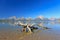 The Jackson Lake in Grand Teton