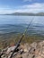 Jacksons Point is famous fishing spot near Lake Hume Many anglers fish Lake Hume specifically targeting redfin.