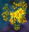 Jacobaea vulgaris or Ragwort