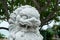 Jade-Eyed Foo Dog