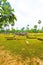 Jaffna Kandarodai Archeological Site Stupas H