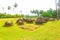 Jaffna Kandarodai Dagobas Stupas Site