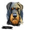 Jagdterrier, Hunting terrier, German Jagdterrier dog digital art illustration isolated on white background. Germany origin hunting
