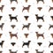 Jagdterrier seamless pattern. Different poses, coat colors set