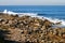 Jagged beach with rocks, white rushing crashing surging ocean waves and distant horizon