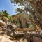 Jagged rocks and trees with view of cliff in Moab